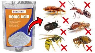 How to Use Boric Acid to Eliminate Pests Around the House - BEDBUGS, COCKROACHES, FLEAS, ANTS, WASPS