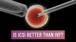 Do you think ICSI is better than IVF ? || IS ICSI BETTER THAN IVF || NARIKAA