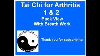 Tai Chi for Arthritis 1 and 2 back view with breath work, TCA1 TCA2