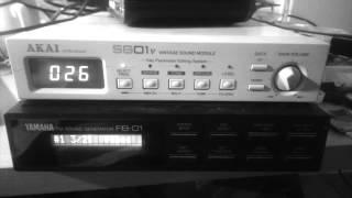 AKAI SG01v (Rompler) & Yamaha FB-01 (FM) Sound Demo Song