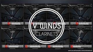 VWinds - Clarinets Overview