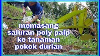 Memasang poly paip di #GardenStanLy