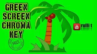 Green Screen - PALM TREE, COCONUT TREE animation 