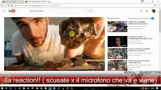 the mineral extreme reactions #3 quello che ho trovato  in Puglia !! hd