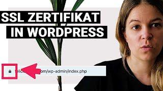 SSL Zertifikat in WordPress einbinden  So einfach gehts