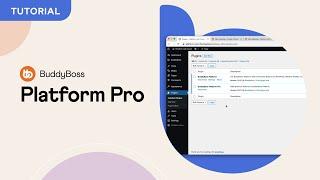 How to download, install and activate BuddyBoss Platform Pro?