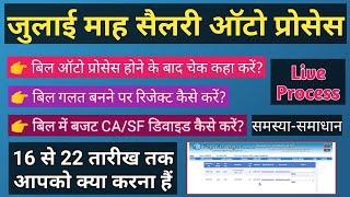 Auto Salary Process On Paymanager | ऑटो सैलरी प्रोसेस समस्या-समाधान | How to Reject Salary Bill |