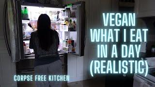 what i eat in a day - realistic and vegan