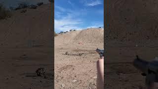 .22 lr shooting stop sign  #shorts #fun