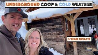 #769 - Underground Coop & Winter Production (3 yr update). Bumpside Diesel & Camper Special Toolbox!