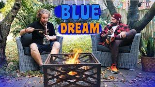 100 СОРТОВ: BLUE DREAM у КОСТРА, история сорта BLUEBERRY и DJ SHORT