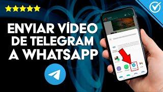 ¿Cómo se Envía un Video de Telegram a WhatsApp? - Comparte Contenido