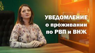 Ежегодное уведомление по РВП и ВНЖ