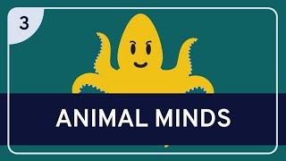 PHILOSOPHY - NEUROSCIENCE AND PHILOSOPHY 3: Animal Minds