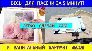 Весы для пасеки за 5 минут или капитальный вариант! #весыпасека #весыпчеловода #apiary #scalesapiary