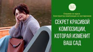 Секрет создания красивой композиции, которая изменит ваш сад