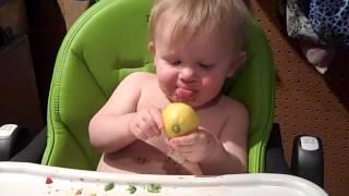 Milo eating a lemon, 11 months old