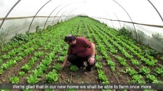 Gush Katif Evacuees Return to Farming in the Golan Heights