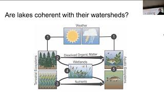 Heterogeneous lake ecosystem trajectories despite global change