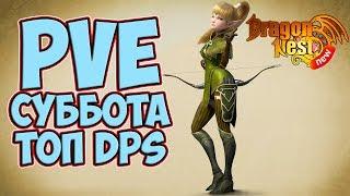 New Dragon Nest • Топ DPS Стрим: покажи свои силы