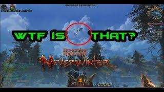 Neverwinter | WTF MOMENT: A flying dragon on stronghold | MOD12 | PC PS4 XBOX