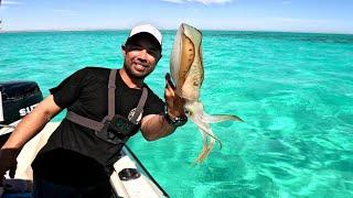 Tiger Squid Squad! Snook Frenzy Fishing unbelievable water