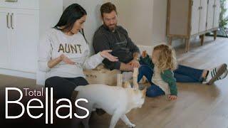 Nikki and Artem babysit: Total Bellas, May 28, 2020