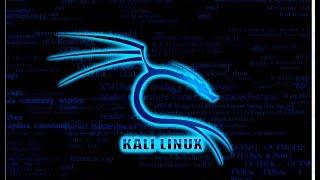 Bootear iso Kali Linux 2.0 en un usb con Instalación