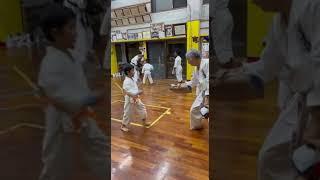 Kaicho Tetsuhiro Hokama, Hanshi, 10 dan, president Okinawan and International Goju-ryu  association