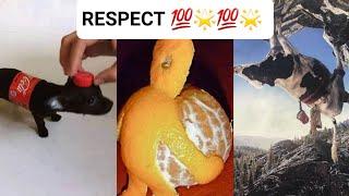 Respect video  | like a boss compilation  | amazing people