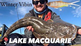 Winter LURE Fishing in Lake Macquarie - Kayak Fishing