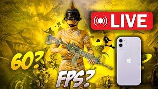 King 60fps -iphone 11 pro player...