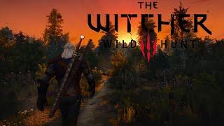 EXPLORING Villages in THE WITCHER 3 | RELAXING WALK