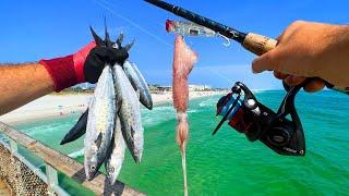 Eating Everything We Catch PIER FISHING - Squid, Shark, Mackerel n' More!