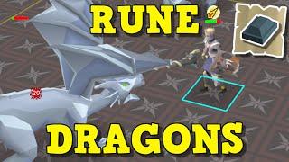 Rune Dragons Are Incredible! | Ultimate Rune Dragons Guide Old School Runescape