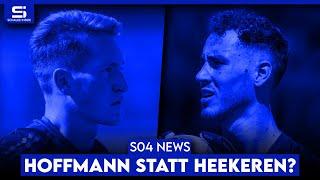 Wird Hoffmann Stammtorwart? Kommt Schorch als Sportdirektor? Tempelmann will angreifen! | S04 NEWS