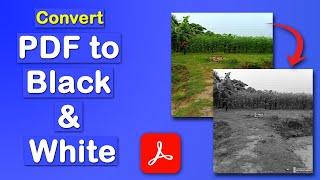 How to Convert pdf to black and white using Adobe Acrobat Pro DC