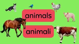 Animals: Italian and English | Animali in Italiano | Learn English | Learn Italian