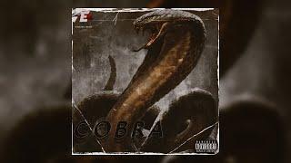 [FREE] LOOP KIT/SAMPLE PACK 2023 - "Cobra" (Dark, Pyrex, Pvlace)