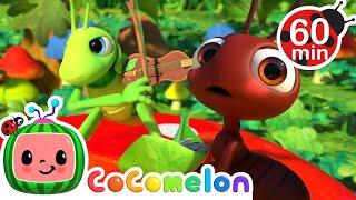 The Ant and the Grasshopper! | CoComelon | Animals for Kids | Sing Along | Learn about Animals