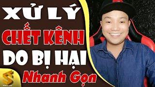 Bị Kẻ Xấu Hãm Hại Kênh hoặc Ăn Cắp Video || Kháng Nghị Lại Bị YouTube Xóa Luôn Kênh