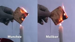 Cream Cracker Burn Test | Munchee vs Maliban