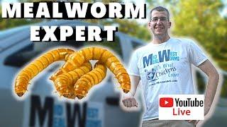 So You Have Questions About Mealworms  -  Live with Justin Meyer of MidWest Mealworms