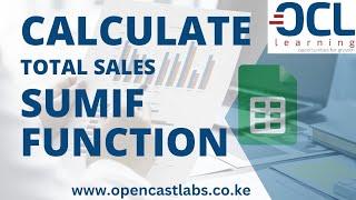 Calculating Total Sales using SUMIF Function