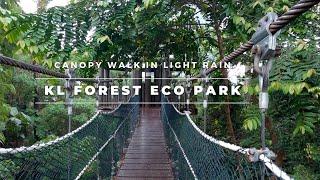 KL Forest Eco Park | Canopy Walk in Light Rain