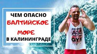 Балтийское море в Калининграде/Чем оно опасно/Переезд/Отдых/Путешествия в 2021 году/