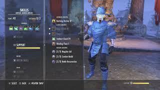 Warden One Bar PVP Healer ESO