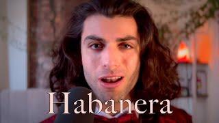 Habanera - Cover by Vinny Marchi