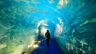 Inside France's Famous Ice Cave  Grotte Mer de Glace