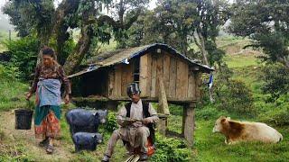 Naturally Most Beautiful Nepali Mountain Village || Very Beautiful And Peaceful Place || Db Limbu